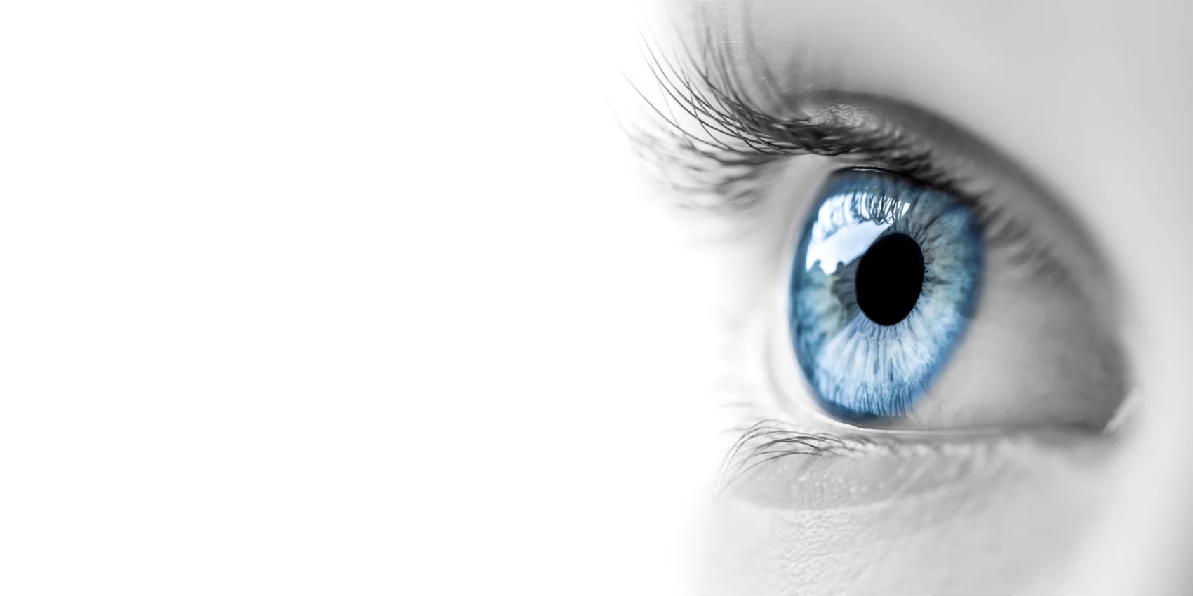 Close-up photograph of a human eye, from the official InnSight website